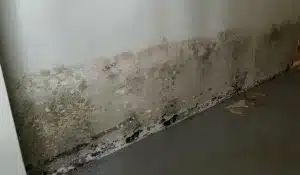 Basement Moisture