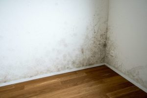 Water Damage