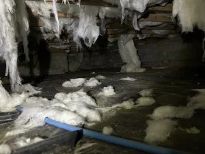 Dimly lit crawl space with exposed insulation hanging from wooden beams. Pieces of insulation and debris scattered on the floor, creating a neglected and cluttered appearance.