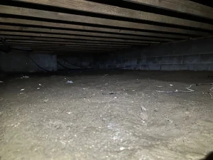 Dimly lit crawl space with a dirt floor, supported by wooden beams above and surrounded by concrete block walls. The atmosphere is sparse and confined.