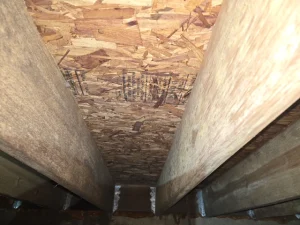 Mold growth on crawl space wooden joists in Kingman, IN home