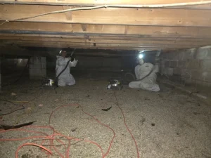 Crawlspace mold remediation in Jamestown IN with technicians applying treatment under home