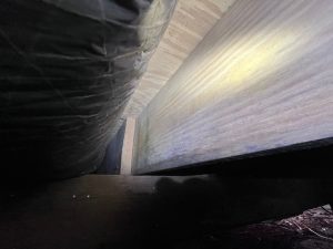 Encapsulated crawl space in Nineveh, IN showing treated wooden joists after mold remediation and moisture control work.